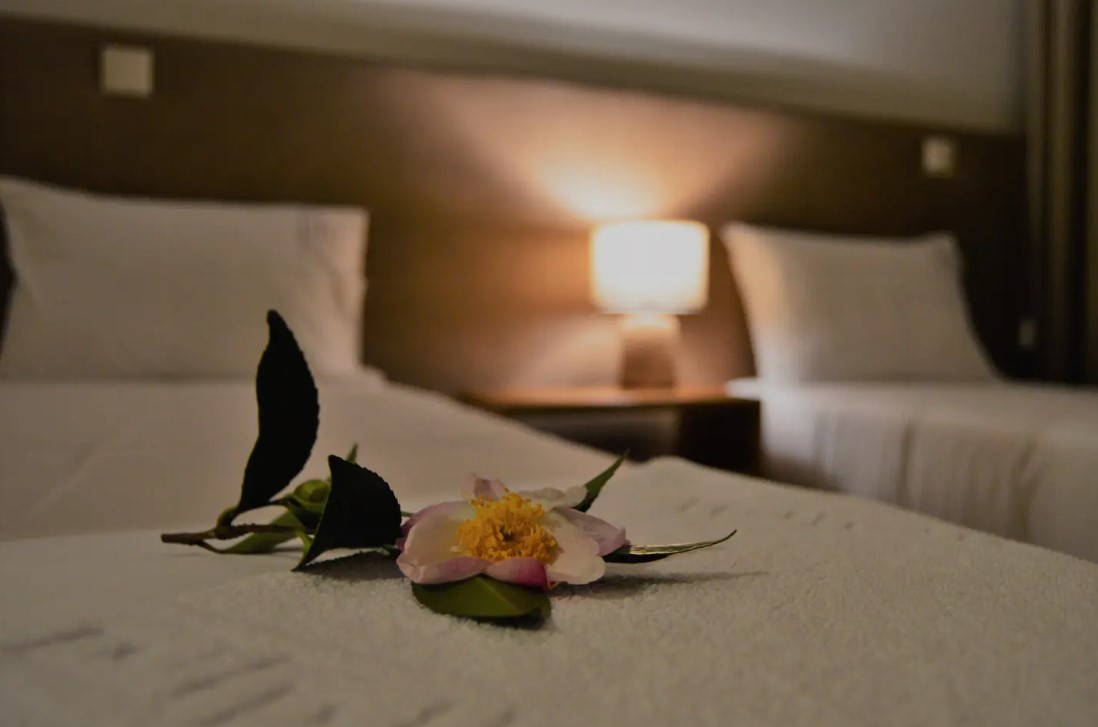 1 or 2 Person, Twin Bed Shared Room - Porto, Portugal 2023 - Image 2